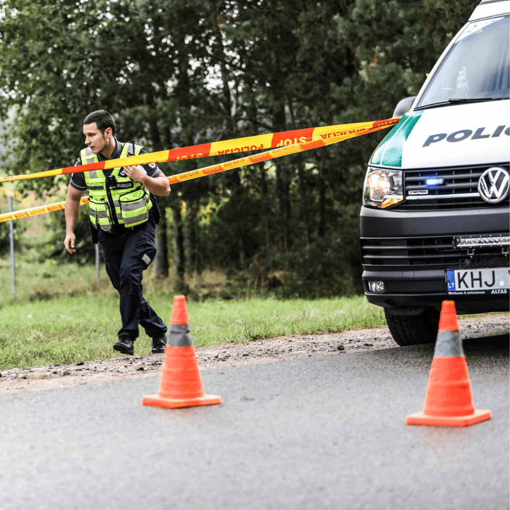 Deividas Bagdonas as police chief investigator