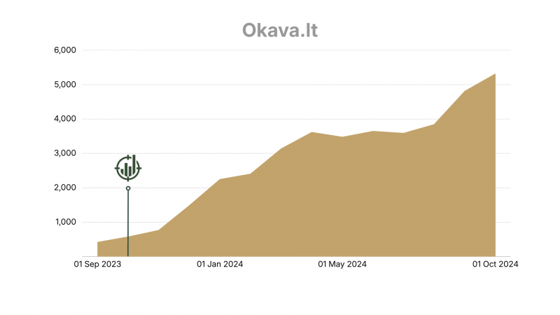OKava.lt organic traffic graph